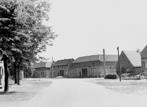 Senftenberg